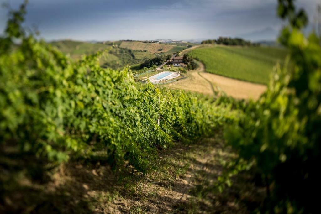 Casali Costadoro Acquaviva Picena Zewnętrze zdjęcie