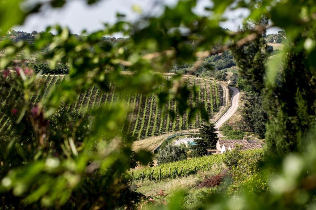 Casali Costadoro Acquaviva Picena Zewnętrze zdjęcie